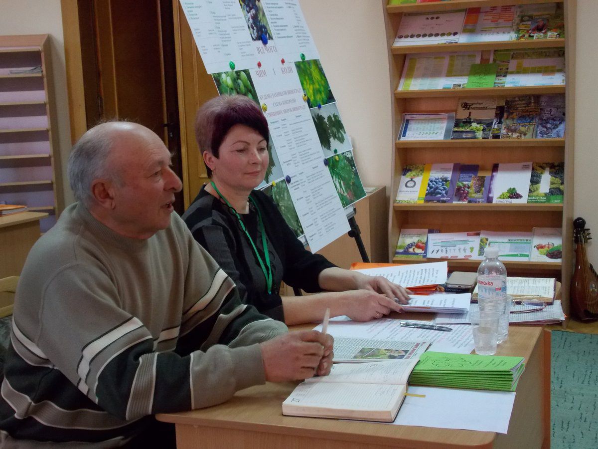 Івано-Франківщина активно повертається до масового вирощування винограду